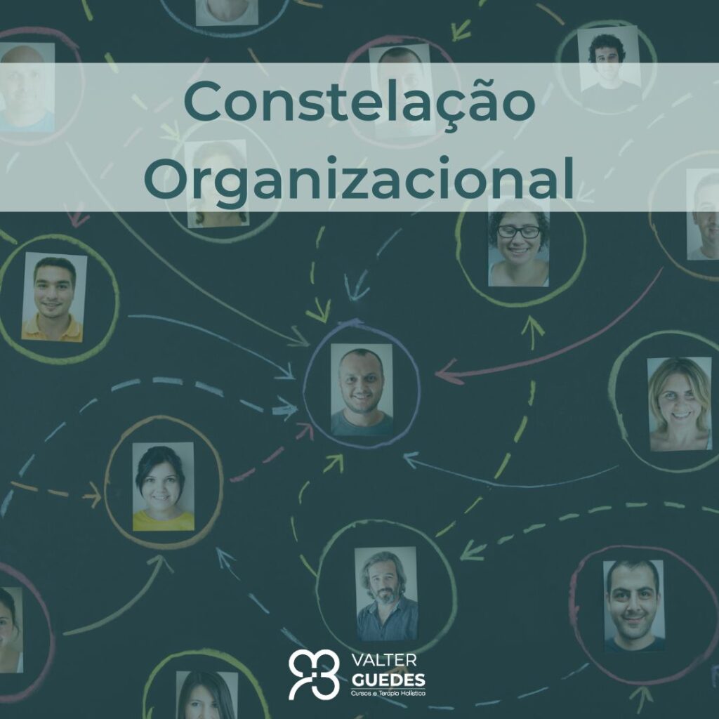 Constelacao Organizacional