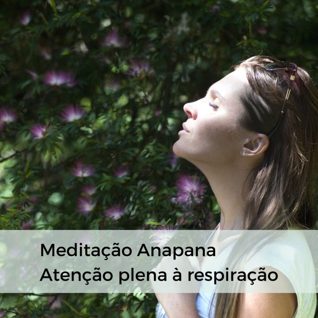 Meditacao Anapana Capa3